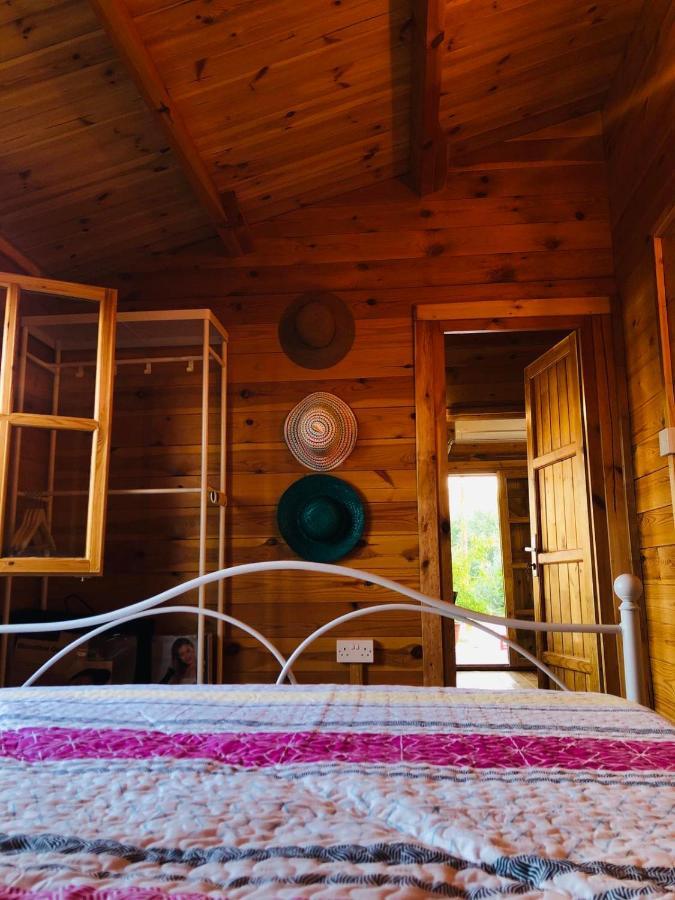 Happy Glamping Cy Villa Agios Theodoros Exterior photo